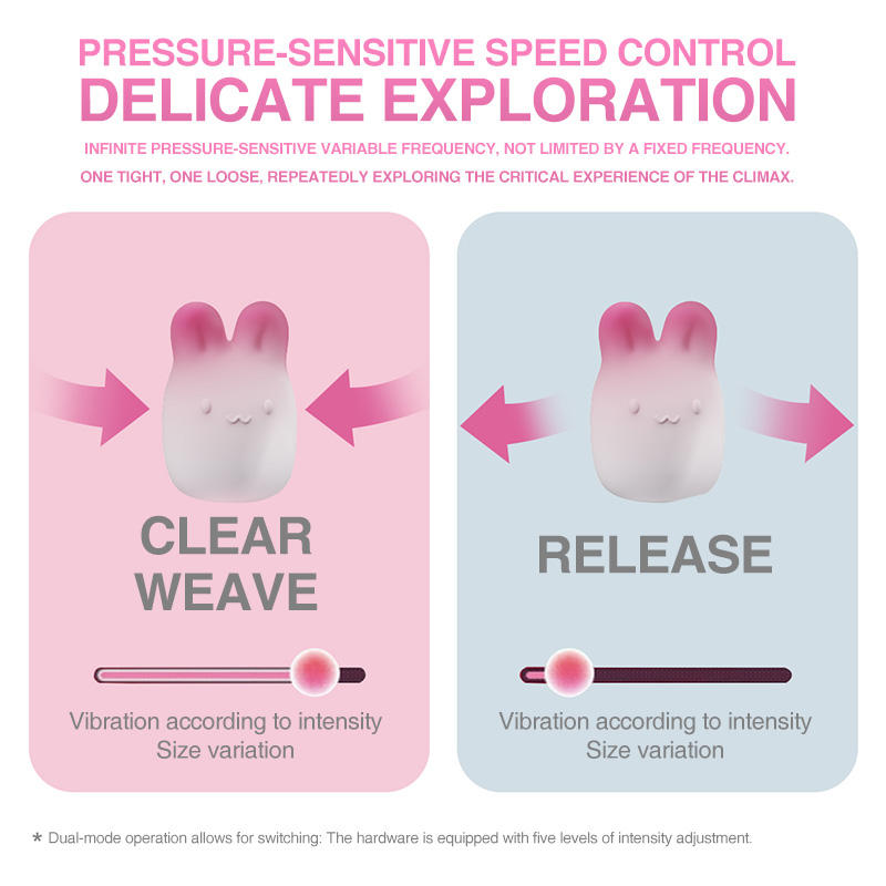 3 Rabbit Panties Vibrator