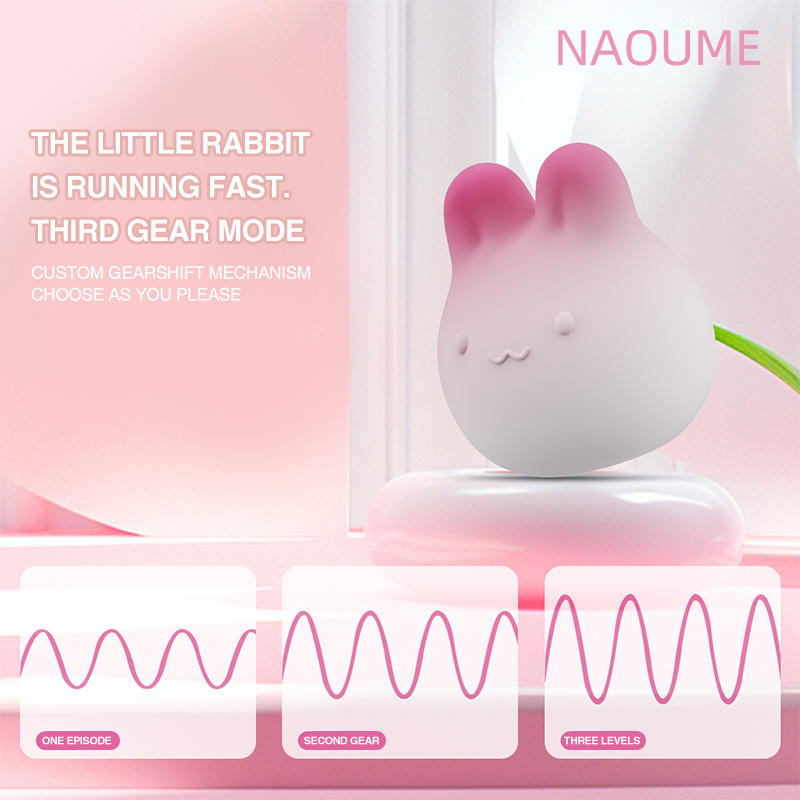 3 Rabbit Panties Vibrator