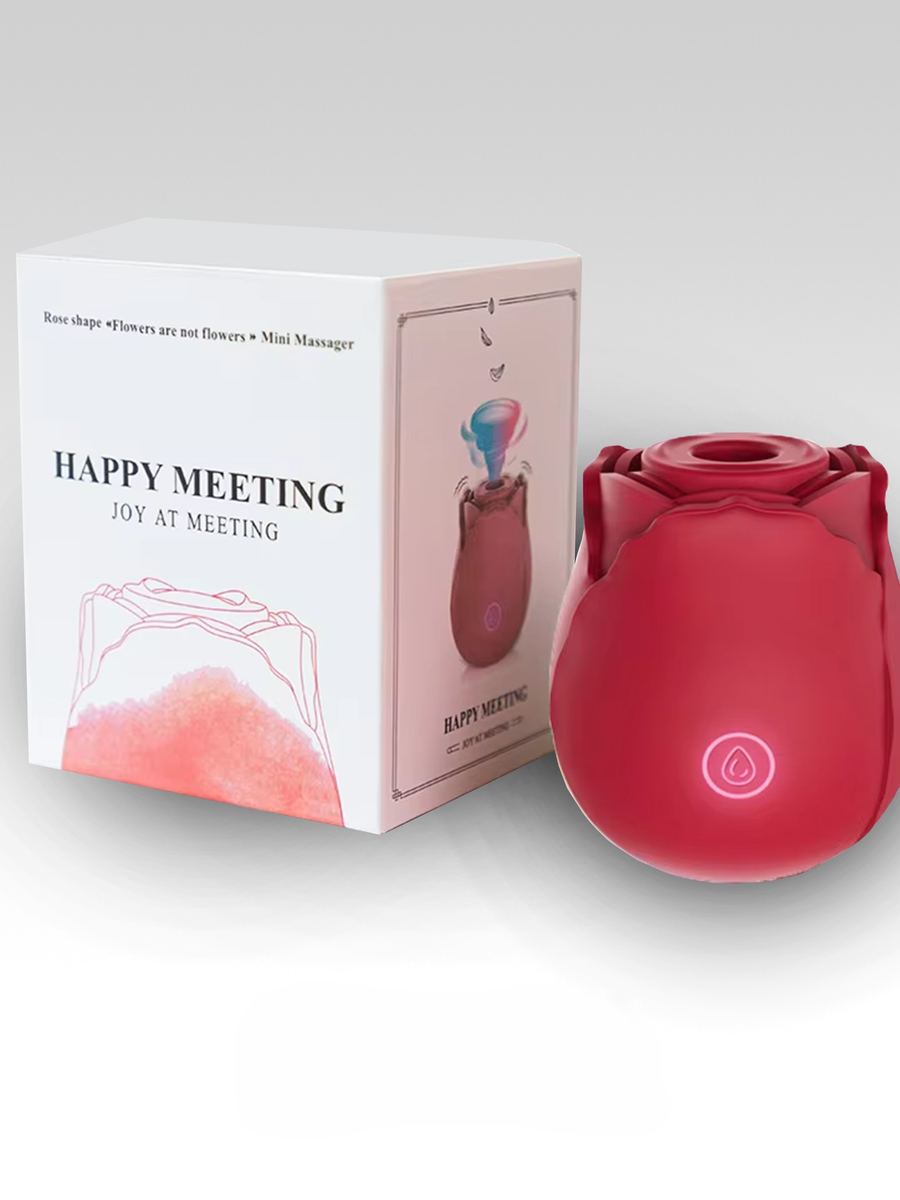 1 Rose Vibrator